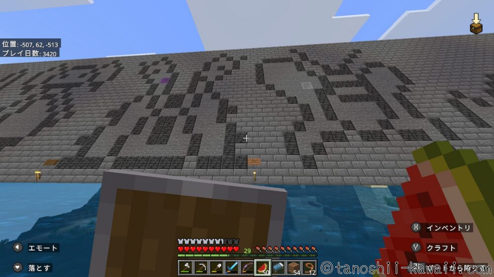 マイナーポケモン？