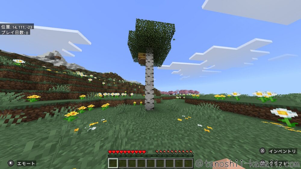 生まれた場所をスクショ