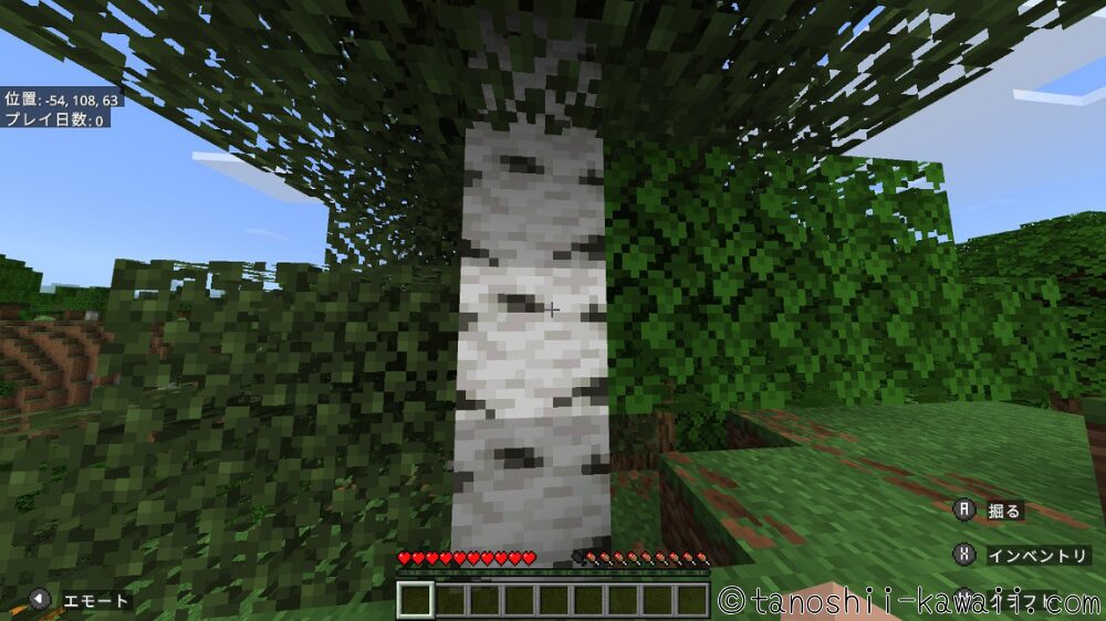 木を手に入れる