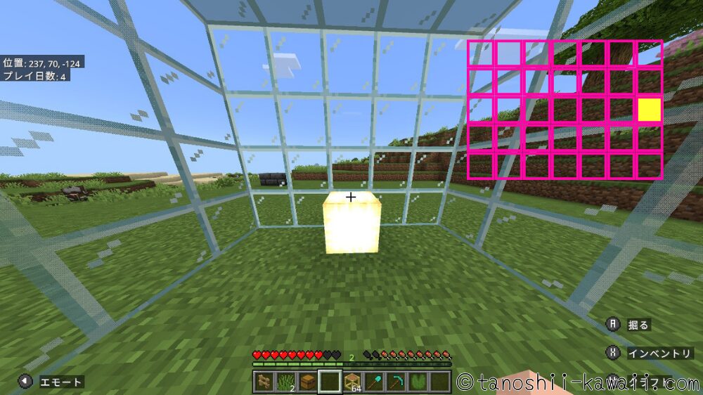 フロッグライトを置きます