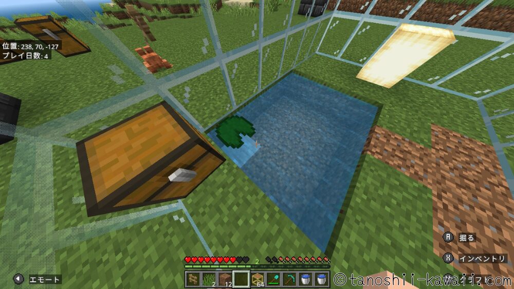 スイレンの葉を置きます