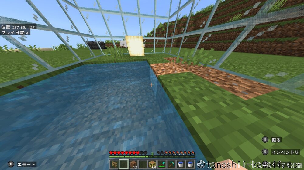 背の低い葉を置きます