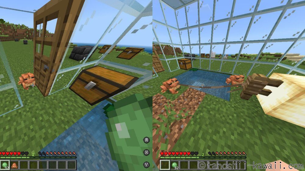 カエルを２匹連れてきます