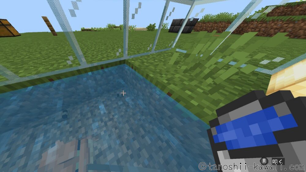 オタマジャクシを入れて捕まえます