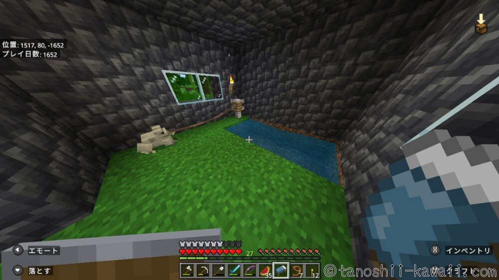 拠点から遠いカエルの家