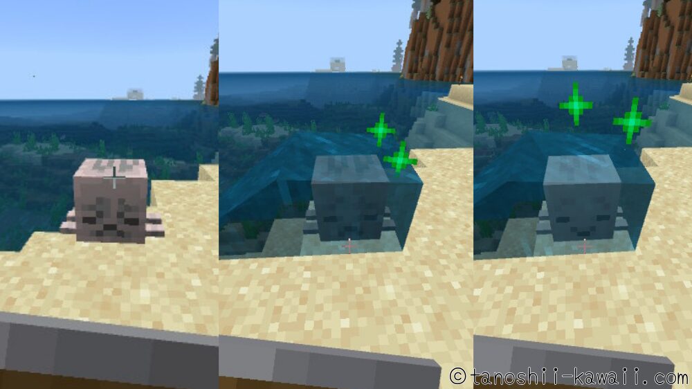 乾燥したガストにして、水をかけてあげると大きくなる