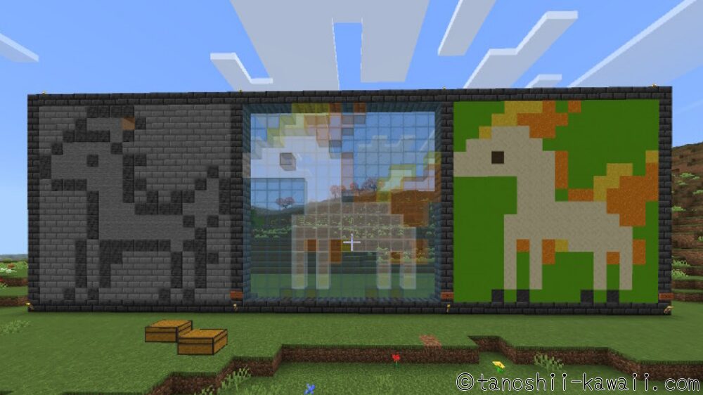 ポニータ３種類