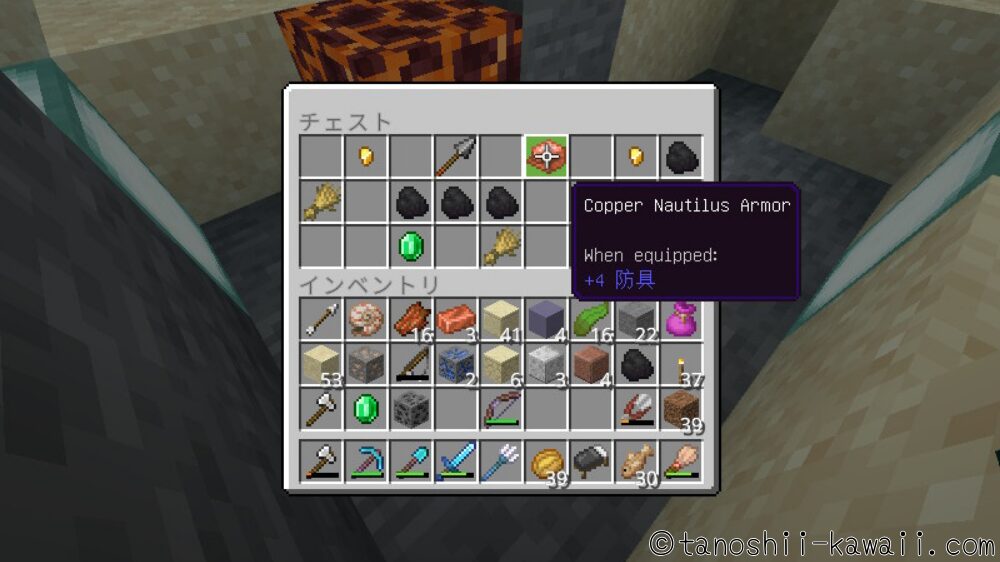 宝箱からオウムガイの鎧も発見