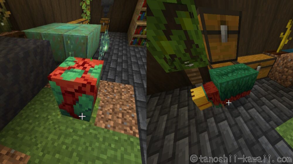 スニッファーの子供