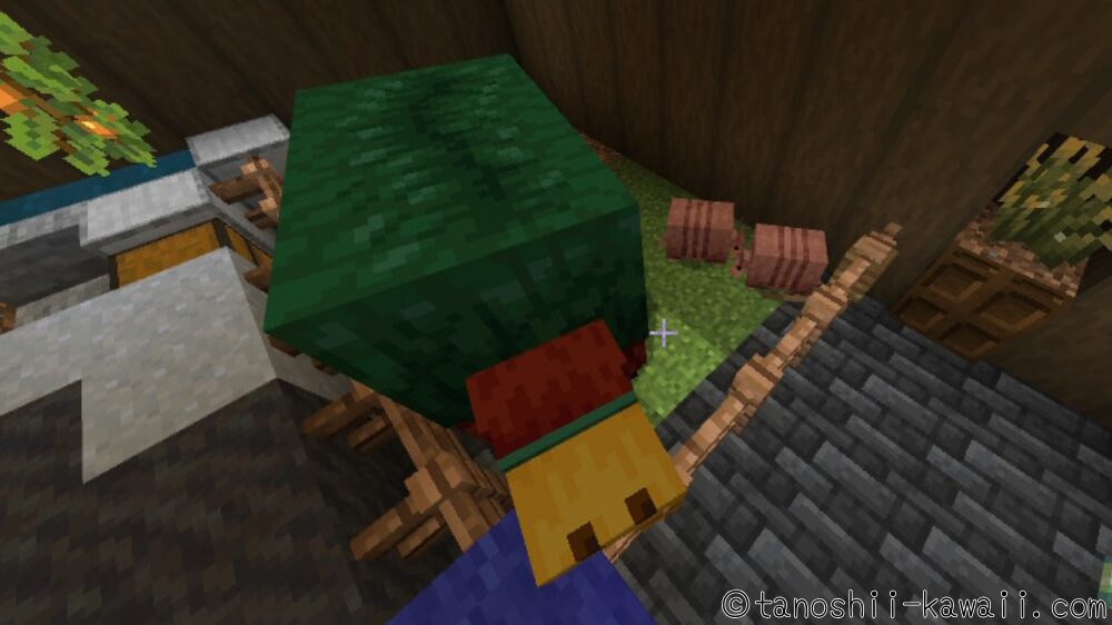 スニッファーとアルマジロのお家