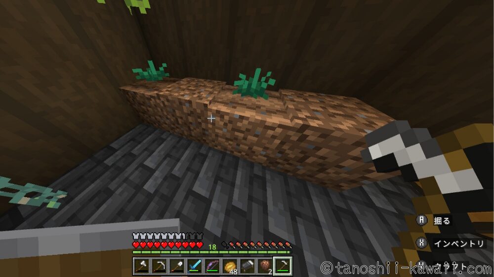 ウツボカズラ・トーチフラワーの育て方