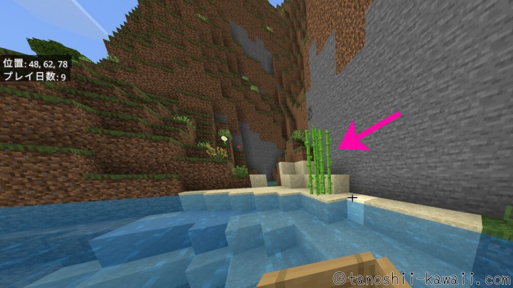 サトウキビを拾う