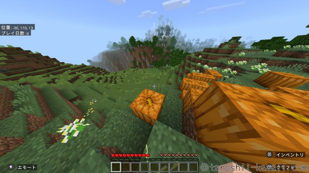 カボチャを拾う