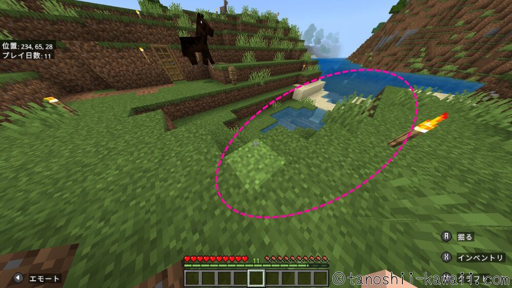 畑・整地場所を決める