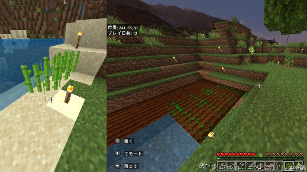 小さな畑の完成