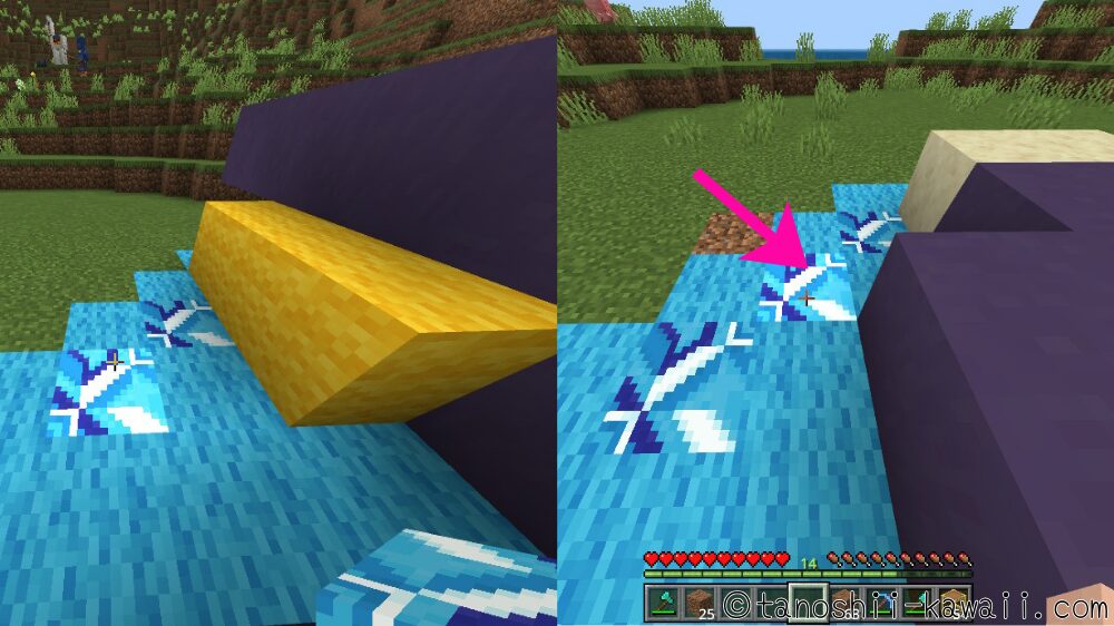 カビゴンの寝床づくり