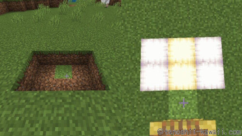 フロッグライトを埋め込み