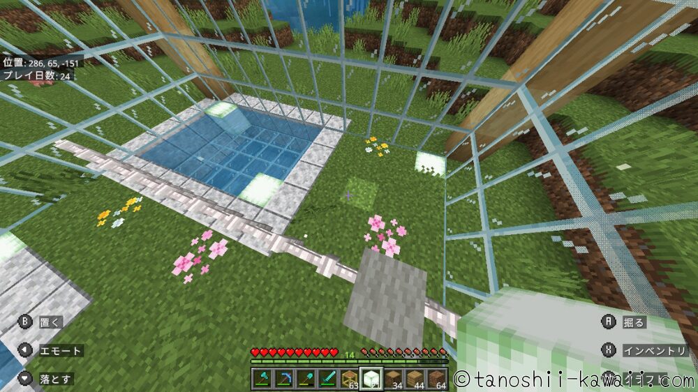 角にフロッグライトを置く