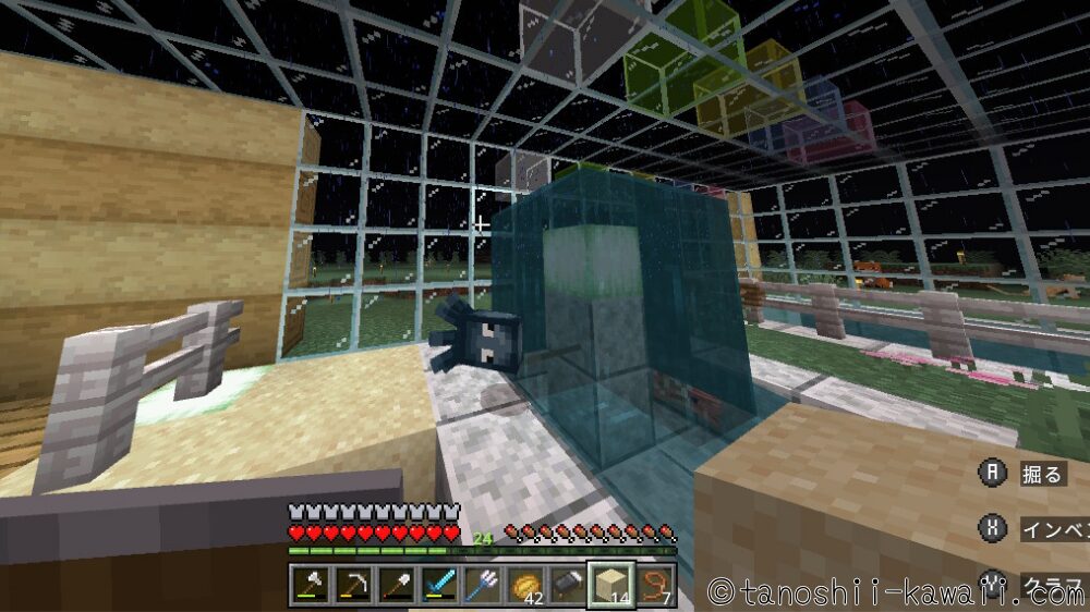 イカとオウムガイの失敗談