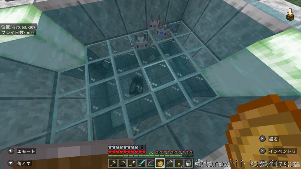 ウーパールーパーの水槽