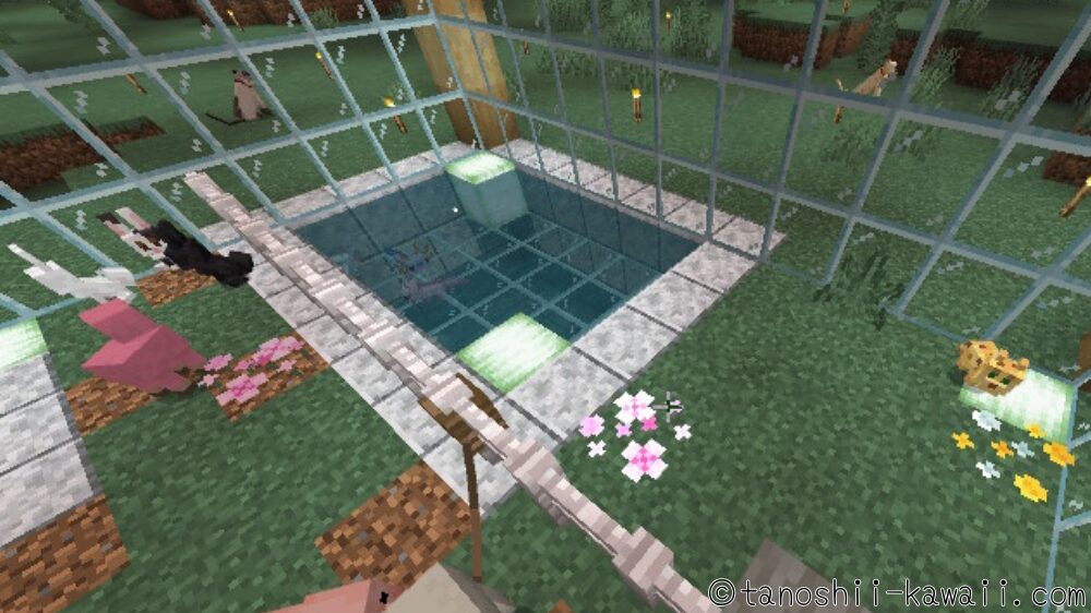 ヤマネコの注意点