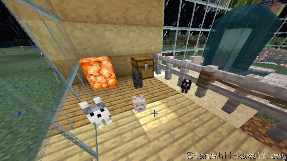 ネコとオオカミのスペース