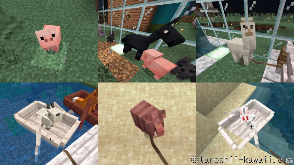 餌やリードで誘導しやすい動物