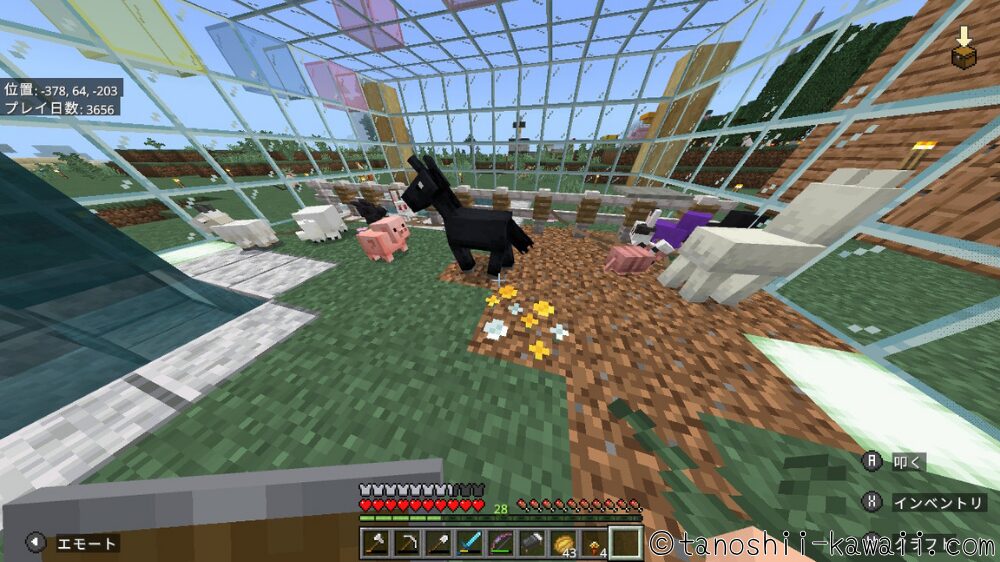 奥のフェンスに繋いでおく