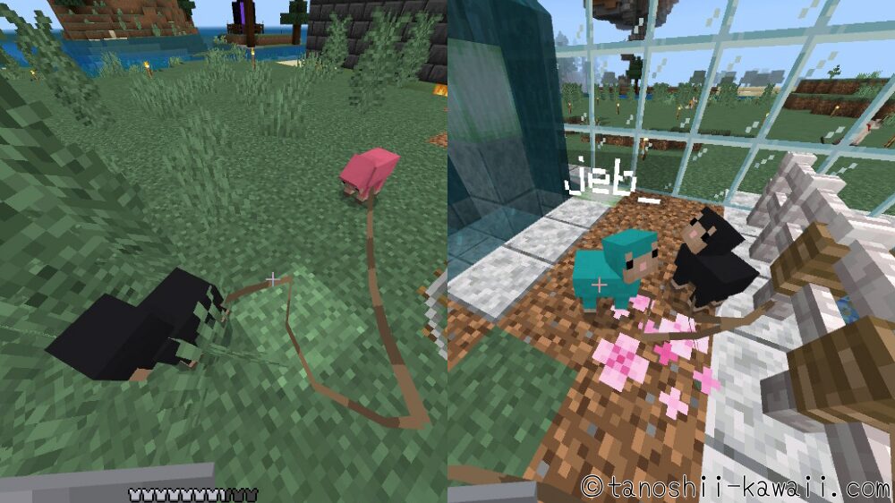 ヒツジの注意点