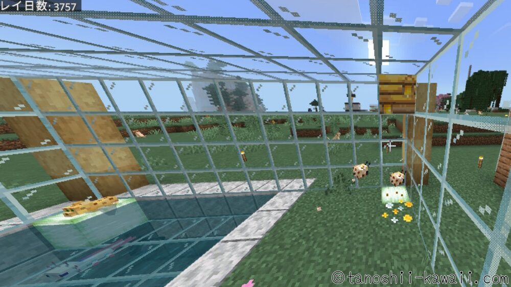 ミツバチは巣も