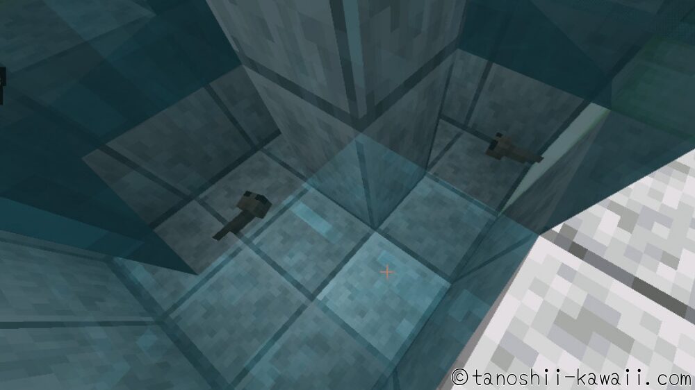 オタマジャクシもこっそり