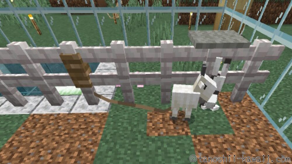 ヤギとハッピーガストはリードを外さない