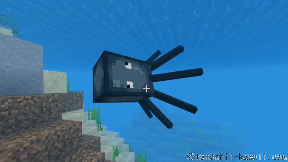 海や川にいるイカ