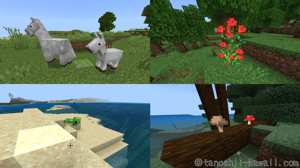 冒険で見つけたもの