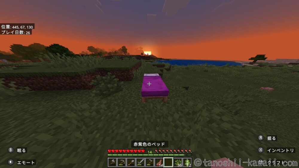 暗くなったらすぐベッドで寝る