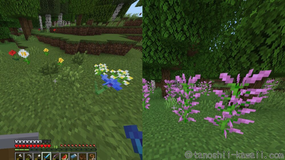 花で染料をクラフトする