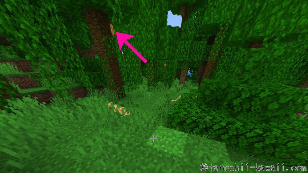 ジャングルバイオームでカカオ