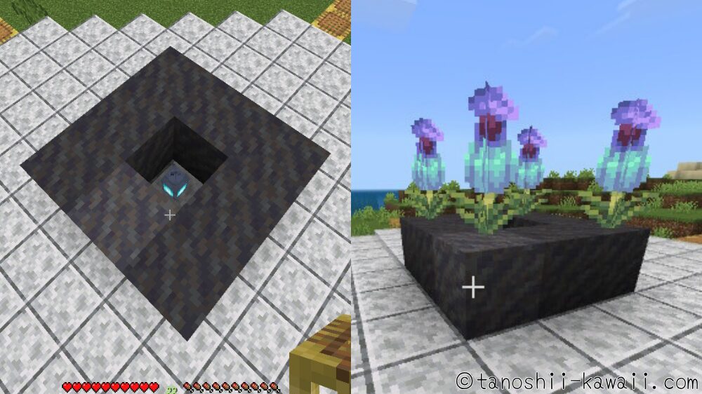 テラパゴス噴水の土台作り