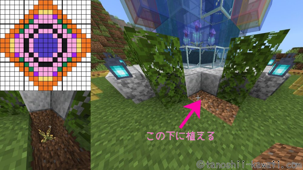 テラパゴス噴水の周り作り