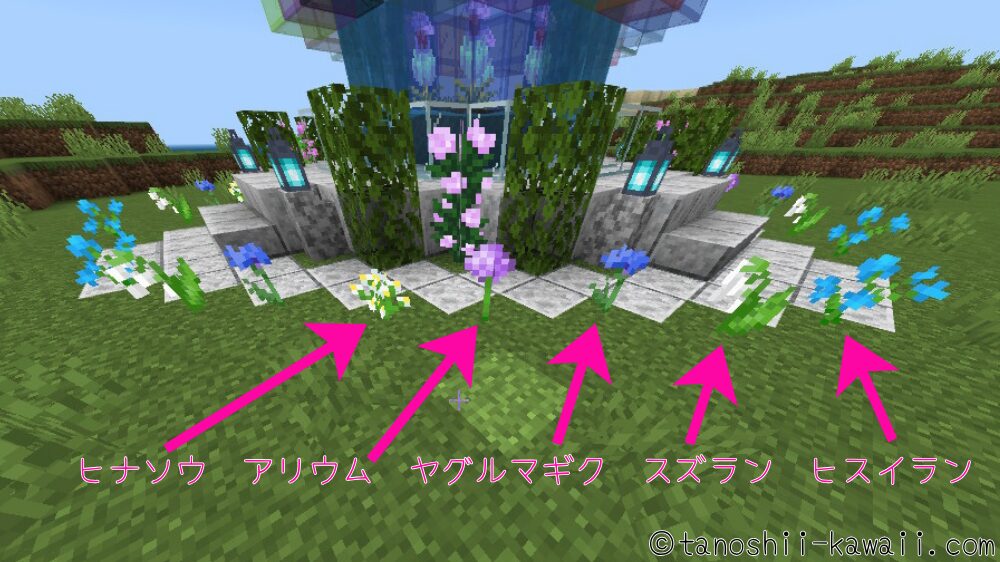 テラパゴス噴水の花畑作り