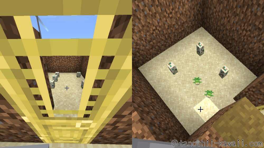 カメの甲羅で水中呼吸