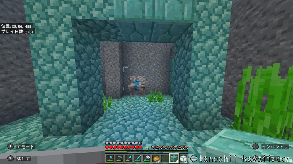 コンジットの起動