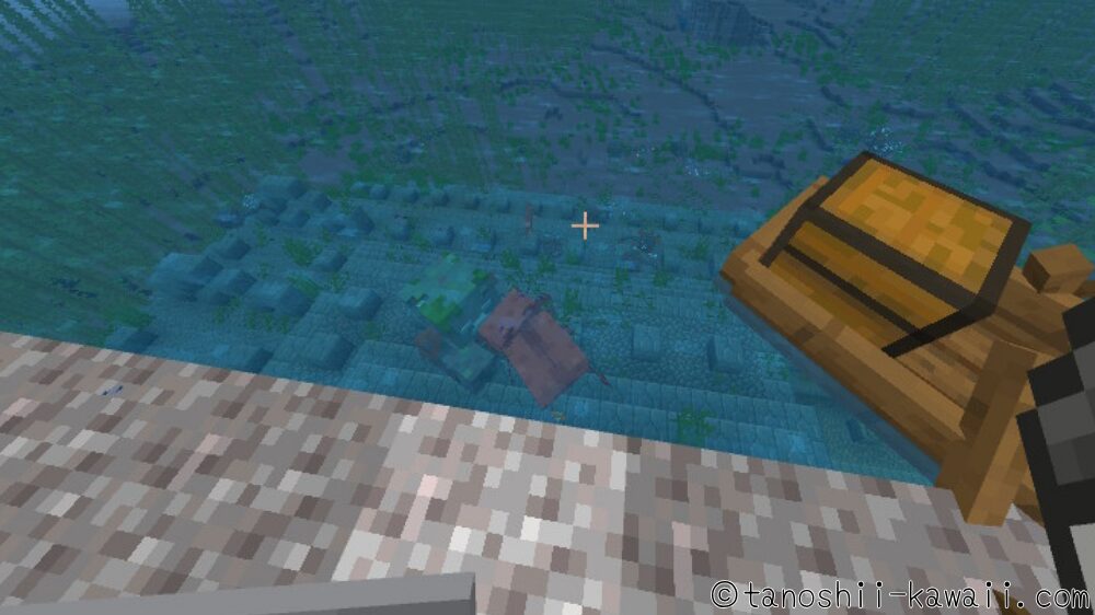 ウーパールーパーと戦う