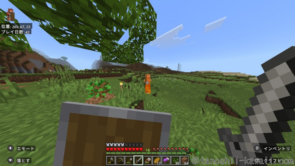 スケルトン・ゾンビを倒す