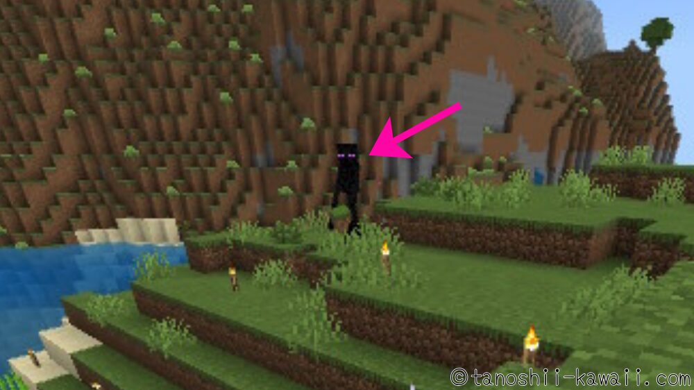 エンダーマンは逃げる