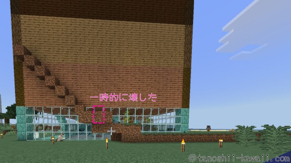 イカとオウムガイを連れてくる