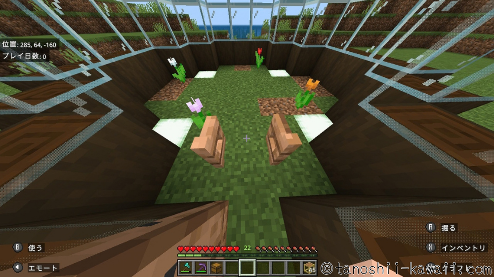 床にチューリップを植える