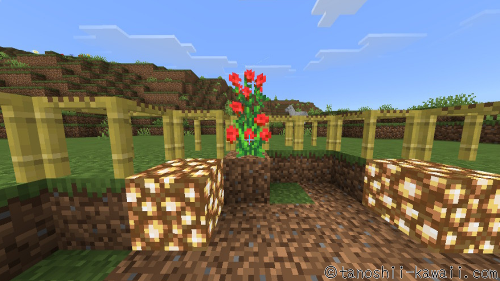床にバラを植える